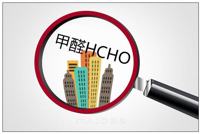 麗水除甲醛機構優質商家【3M生物酶】